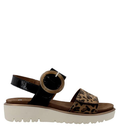 ARA HAZEL LEOPARD Ara